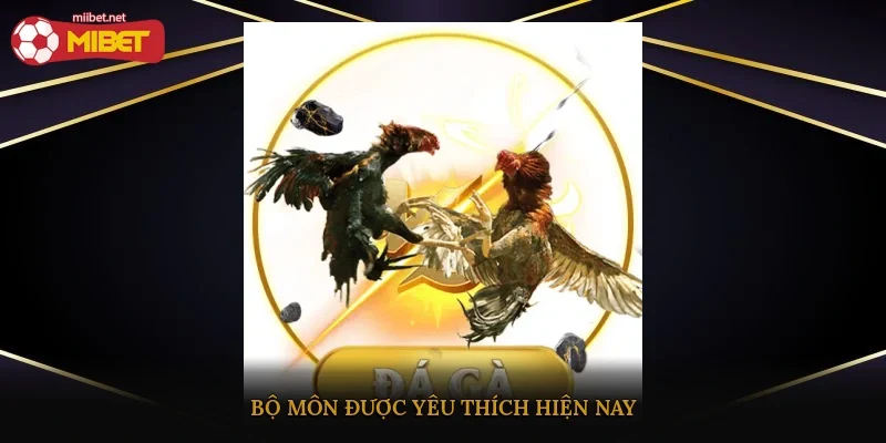 Bộ môn được yêu thích hiện nay