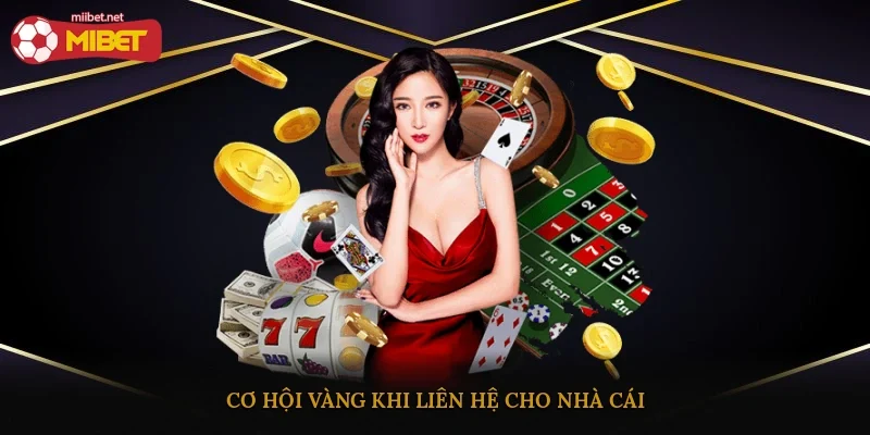 Cơ hội vàng khi liên hệ cho nhà cái