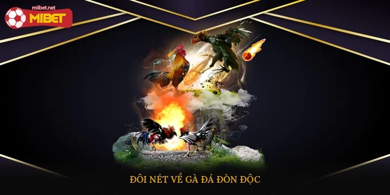 Đôi nét về gà đá đòn độc