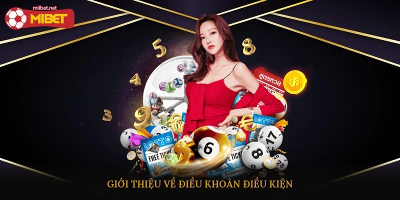 Giới thiệu về điều khoản điều kiện