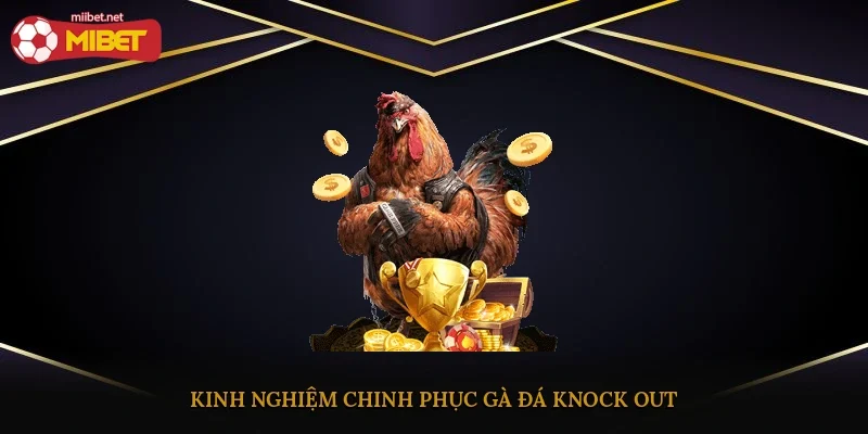 Kinh nghiệm chinh phục gà đá knock out