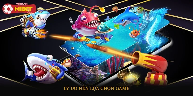 Lý do nên lựa chọn game