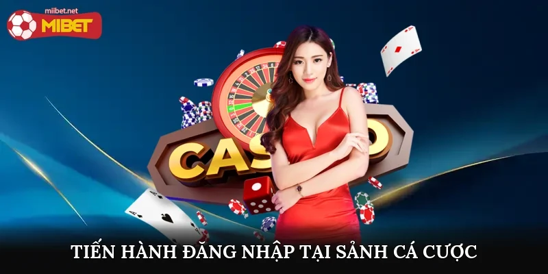 Tiến hành đăng nhập tại sảnh cá cược